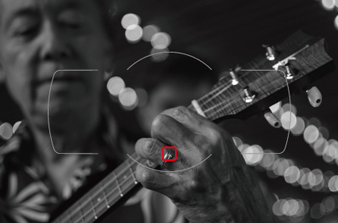 Nikon D5200 Single Focus Point - Taken from below Nikon Website