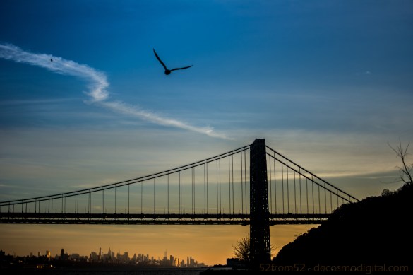 Picture Specs: ISO 200, 35mm, f/1.8, 1/4000sec