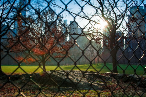 Picture info: ISO 250, 35mm, f/8, 1/1250 sec