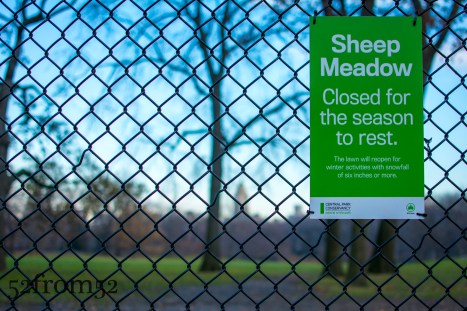 Sheep Meadow Closed!