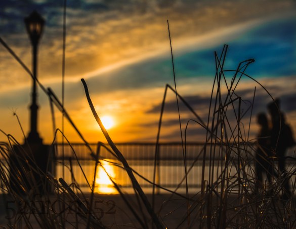 Picture info: ISO 160, 36mm, f/4.0, 1/4000 sec