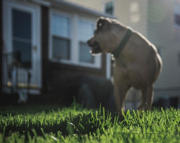 Picture Info: ISO 100, 34mm, f/2.8, 1/640 sec