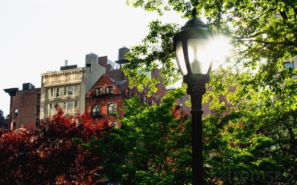 Picture Info: ISO 100, 36mm, f/9.0, 1/80sec