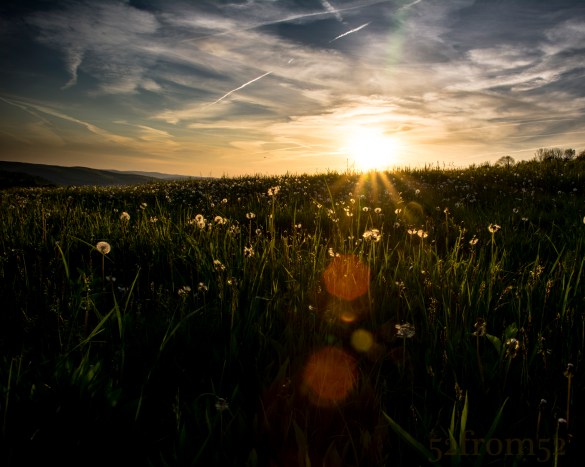 The last night's sunset