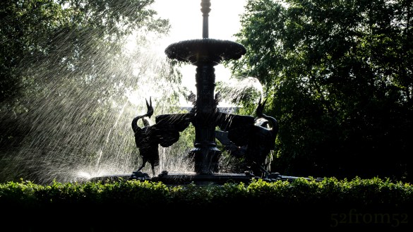 Picture Info: ISO 100, 36mm, f/9, 1/40 sec