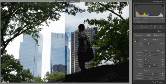 Before and After Lightroom Edit